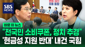 "전국민 소비쿠폰, 정치 추경"&hellip;'현금성 지원 반대' 내건 국힘 [바로이뉴스]