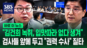 검찰 수뇌부 앞에 두고 "권력 수사" 질타&hellip;"김건희 녹취, 입맛따라 없다 생겨" [바로이뉴스]