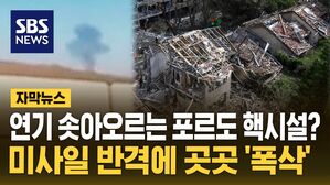 [자막뉴스] 연기 솟아오르는 포르도?&hellip;미사일 반격에 이스라엘 곳곳 '폭삭'