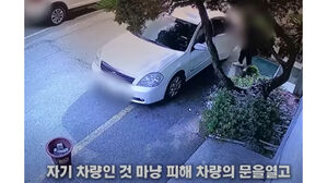 자기 잡으러 온 줄도 모르고&hellip;형사 잠복 차량 털려던 50대 절도범