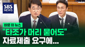 "타조가 머리 묻어도&hellip;" 총리 후보자에게 자료제출 요구 [바로이뉴스]