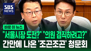 "내년 서울시장 도전?" "의원 겸직할 건가?"…간만에 나온 질답다운 질답, '청문회는 이렇게'