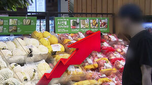 소비심리 4년 만에 최고&hellip;불확실성 해소&middot;추경효과 기대