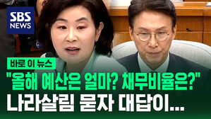 [바로이뉴스]"올해 예산은 얼마? 채무 비율은?" 나라살림 묻자 대답이...