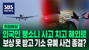 [영상] 뺑소니 사고 내고 출국한 미등록 외국인&hellip;그대로 사건 종결된 기막힌 이유