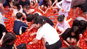 "온몸으로 즐겨요"&hellip;퇴촌 토마토 축제 성료