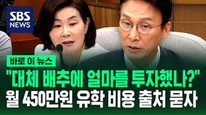 [바로이뉴스] "배추 농사에 얼마를 투자한 거냐?" 월 450만 원 유학 비용 출처에 김민석 답변은