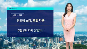 [날씨] 강원·충북 26일 오전까지 비…'기온 올라 더워요'