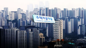 수도권 주담대 6억까지&hellip;6개월 내 실거주 의무