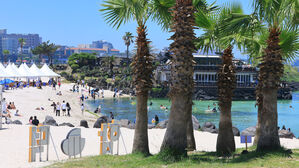 '불볕더위' 제주 폭염특보 확대&hellip;구좌 체감온도 34.3도