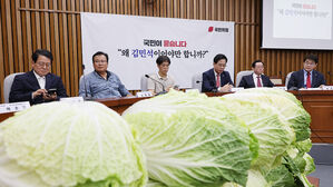 국힘, '국민청문회' 열어 "김민석 지명철회"&hellip;용산서 의총