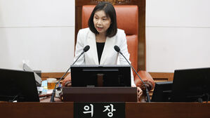 서울시의회 의장 "민생 회복 소비 쿠폰, 지자체에 자율권 줘야"