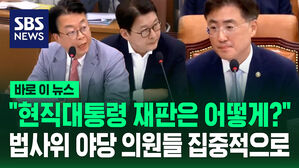 [현장영상] "현직 대통령 재판은 어떻게?" 법사위 야당 의원들 집중적으로