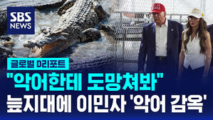 [글로벌D리포트] "악어한테 도망쳐 봐" 이번엔 늪지대 이민자 악어 감옥