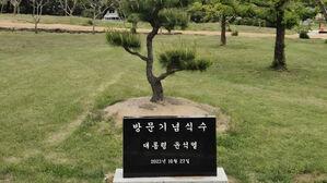 '윤석열 기념식수 비석' 사라졌다&hellip;세계유산서 무슨 일