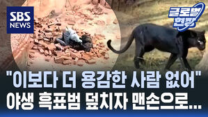 [영상] 공장 습격한 표범을 맨손으로 제압&hellip;10분 동안 이어진 사투 결국