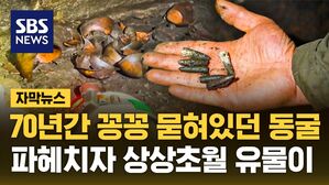 [자막뉴스] 70년간 꽁꽁 묻혀있던 동굴&hellip;파헤치자 상상초월 유물이