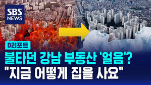 [D리포트] "지금 어떻게 집을 사요" 불타던 강남 부동산 '얼음'
