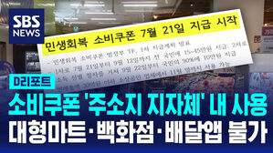 소비쿠폰 '주소지 지자체' 내 사용...대형마트, 백화점, 배달앱 불가