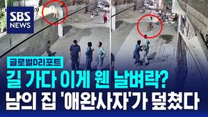 [글로벌D리포트] 길 가다 이게 웬 날벼락?&hellip;남의 집 '애완사자'가 이웃 아이들까지 덮쳤다