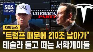 [자막뉴스] "트럼프와 갈등에 테슬라 가치 210조 원 하락"&hellip;'CEO 리스크'에 불안한 서학개미들