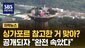 [자막뉴스] 싱가포르 참고한 거 맞아?…공개되자 "완전 속았다"