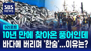 [D리포트] 10년 만에 풍어 찾아왔지만&hellip;헐값에도 안 팔려 '한숨'