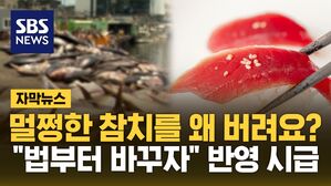 [자막뉴스] '역대급 풍어'에도 전량 폐기&hellip;"법부터 바꿔" 커지는 목소리