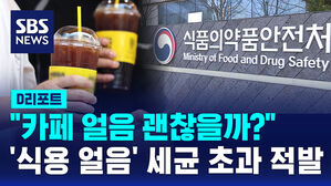 [D리포트] 식용 얼음 검사해 봤더니&hellip;일부 부적합 판정