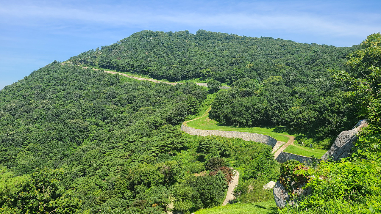  숲길 걸을 때 도시보다 부정적 감정 3분의 1↓…항산화 효과↑ 