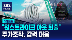[D리포트] '한국판 SEC' 탄생&hellip;"주가 조작범 실명 안 가려준다"