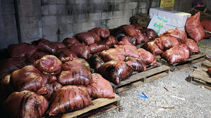 40kg 마대에서 지독한 악취&hellip;열어보니 '고래 창자'