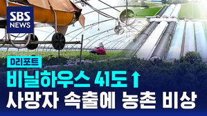 [D리포트] 비닐하우스 41도&hellip;사망자 속출에 농촌 '비상'