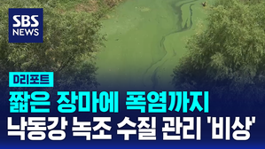[D리포트] 짧은 장마에 이른 폭염&hellip;낙동강 녹조 '비상'
