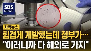 [자막뉴스] 힘겹게 개발했는데 정부가&hellip;"이러니까 다 해외로 가지"