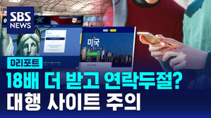 [D리포트] 18배 더 비싼 수수료&hellip;전자여행허가 대행 서비스 주의