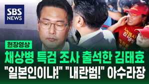 [현장영상] 채 상병 특검 조사 출석한 김태효 전 안보실 차장…"일본인이냐!" "내란범!" 아수라장