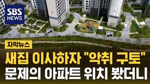 자막뉴스 백로떼
