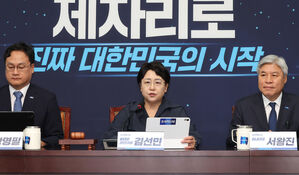 조국혁신당 "비례성 높은 국회의원 선거 도입해 내란세력 퇴출"