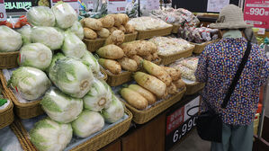 폭염에 농산물값 들썩…배추·수박 일주일새 20% 넘게 올라