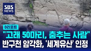 [D리포트] '반구천 암각화' 발견 반세기 만에 '세계의 유산' 인정