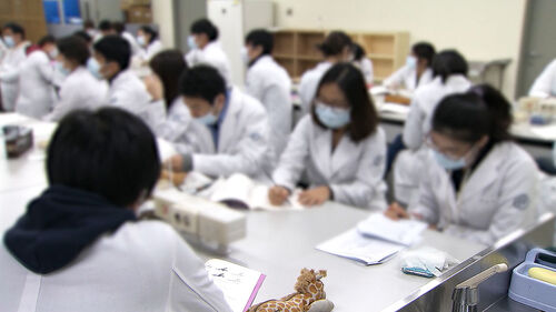 '의대 새내기' 여성 비율 매년 증가…10명 중 4명은 여학생