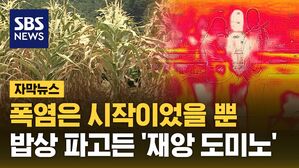 [자막뉴스] 폭염은 시작이었을 뿐&hellip;밥상 파고든 '재앙 도미노'