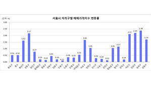 '대출 규제 전' 6월 서울 집값 상승률 0.95%&hellip;6년 10개월 만에 최대