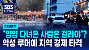 [D리포트] "양양 다녀오면 걸러라"&hellip;악성 루머에 지역 경제 타격