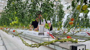 비가 오나 눈이 오나 같은 온도 유지&hellip;에너지자립 온실을 가다