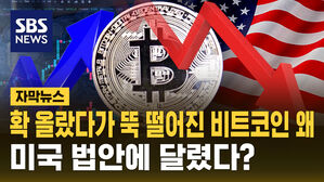 [자막뉴스] 확 올랐다가 뚝 떨어진 비트코인 왜&hellip;법안에 달렸다?