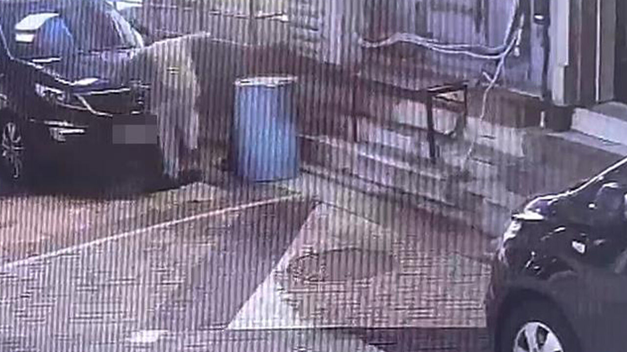길고양이 안전 고깔에 가두고 학대해 죽인 20대…경찰 수사