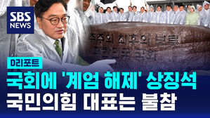 [D리포트] 국회에 계엄 해제 상징석&hellip;"민주주의 최후의 보루"
