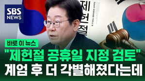 [바로이뉴스] "헌법 제정 공포일 기릴 필요" 제헌절 공휴일 검토 지시